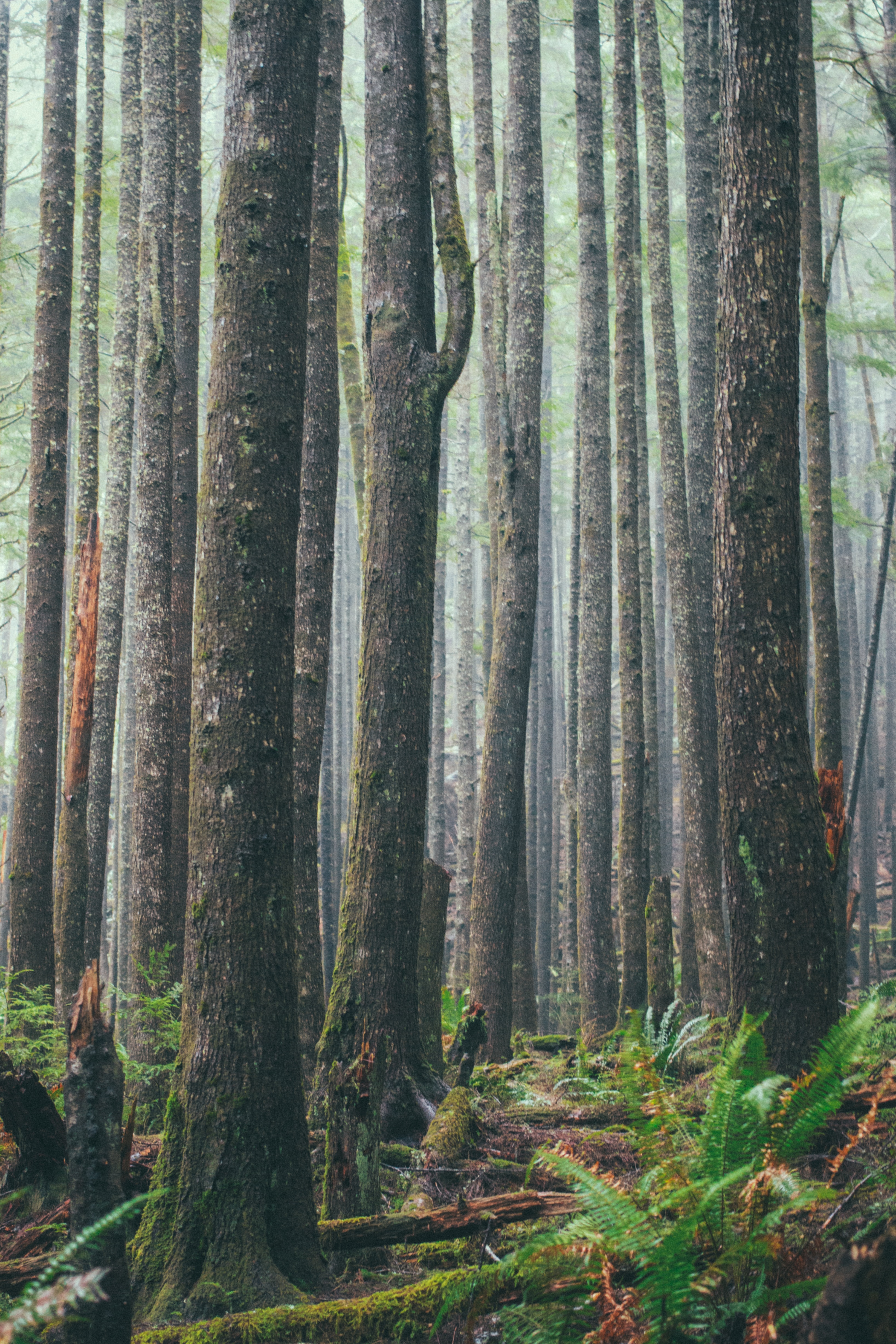eric-muhr-C3kLGOUaxY0-unsplash