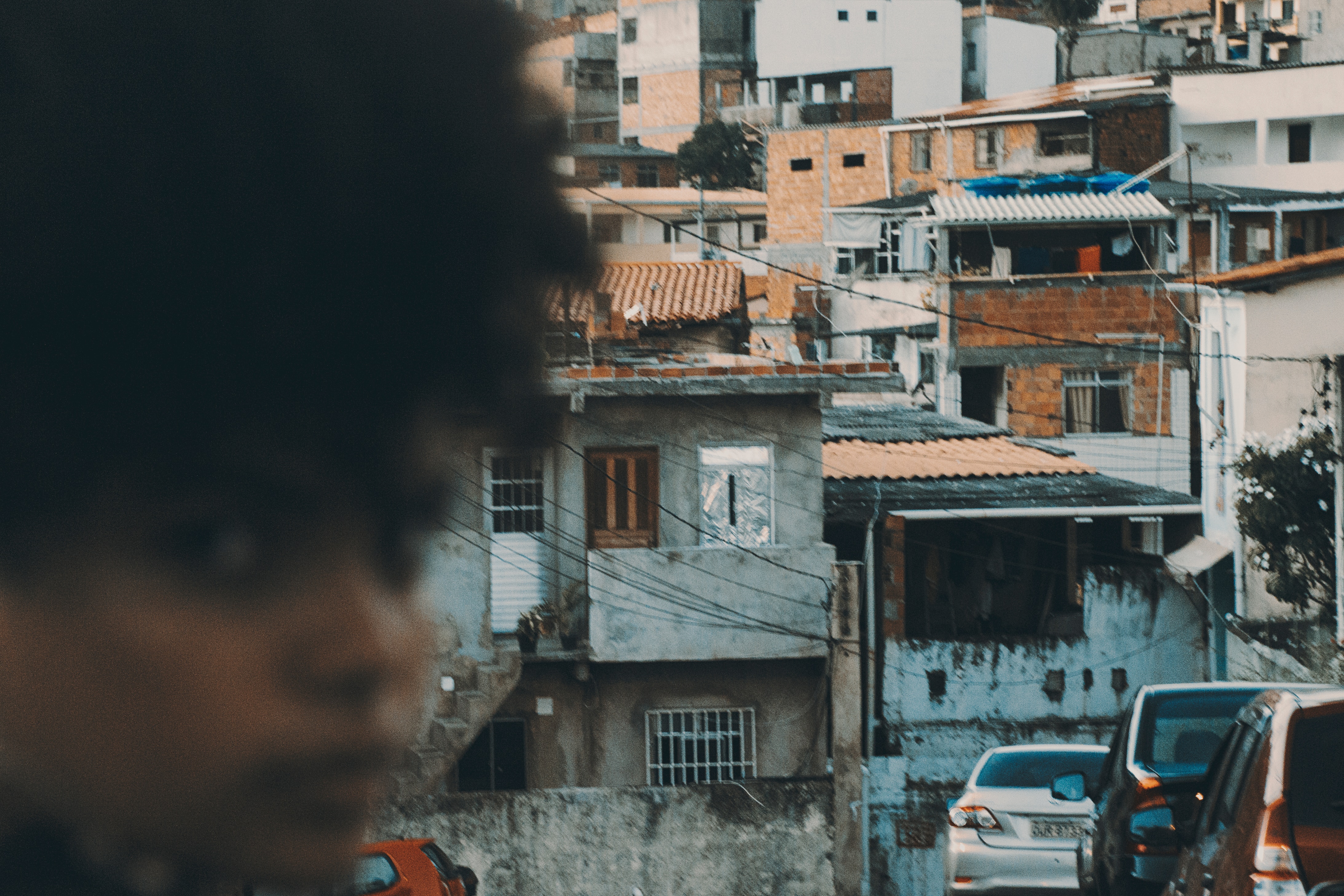 joao-ritter-60bS-tZj6uY-unsplash