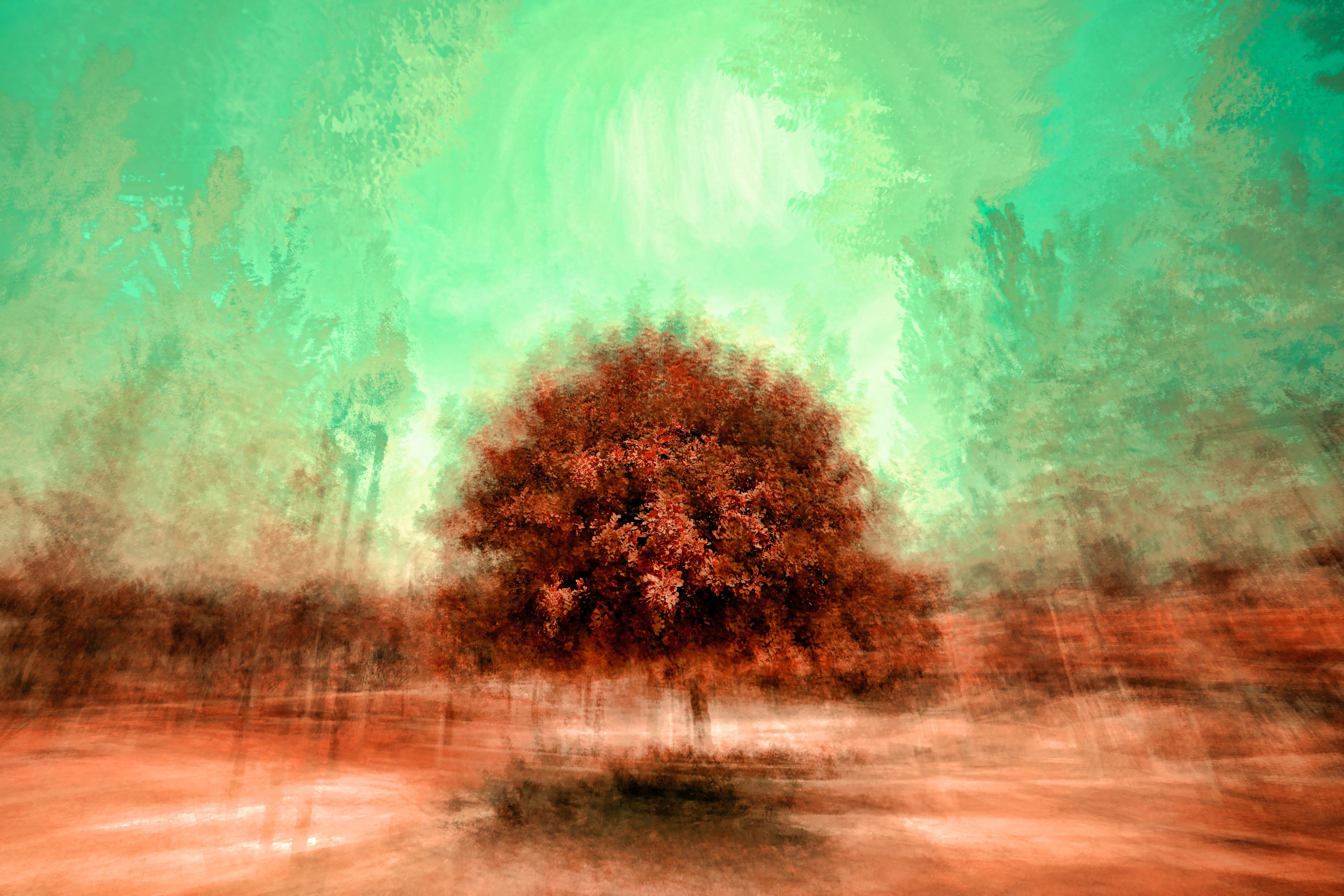 jr-korpa-PPieoewQS5k-unsplash