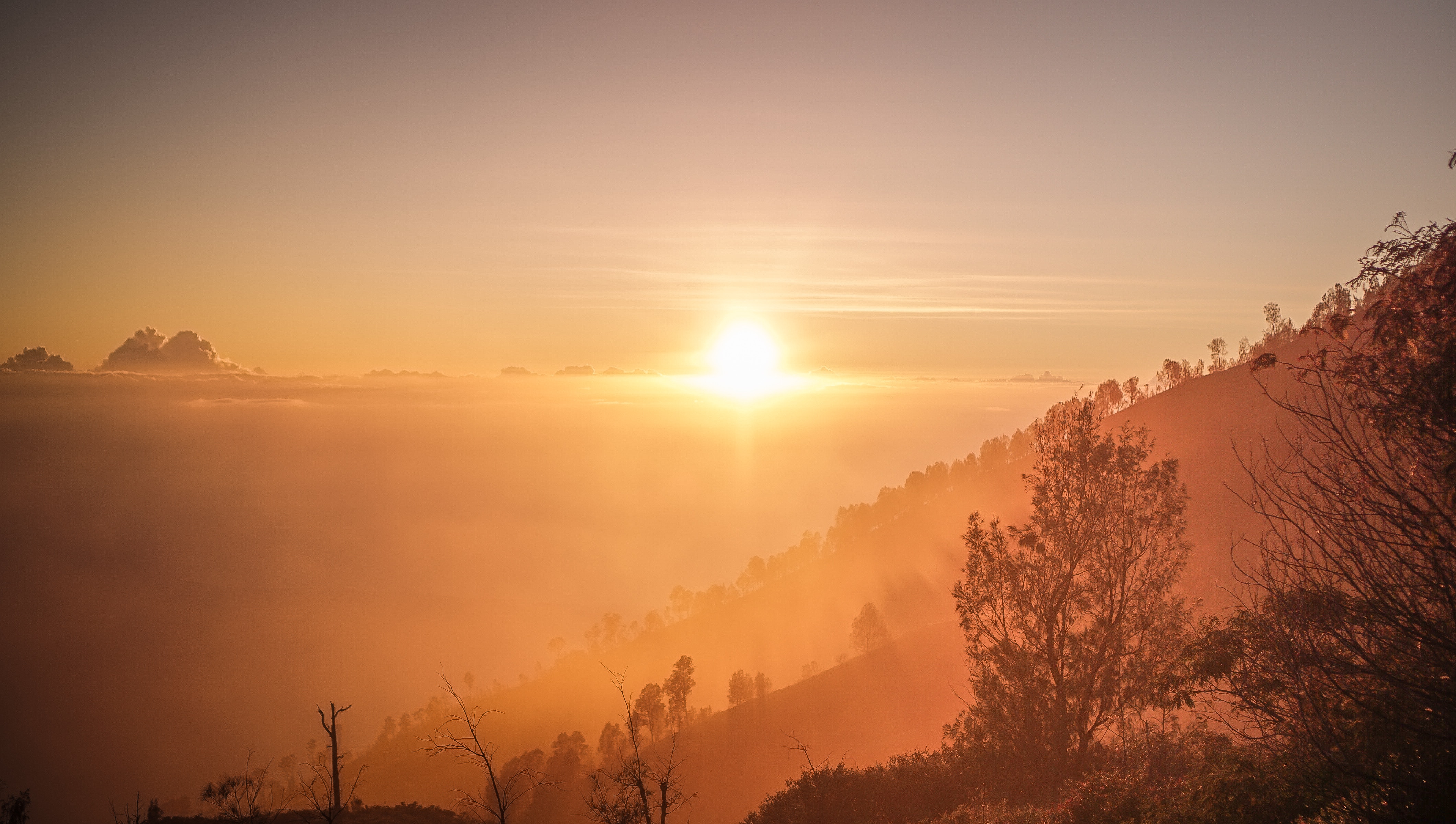 nanda-dian-pratama-764266-unsplash