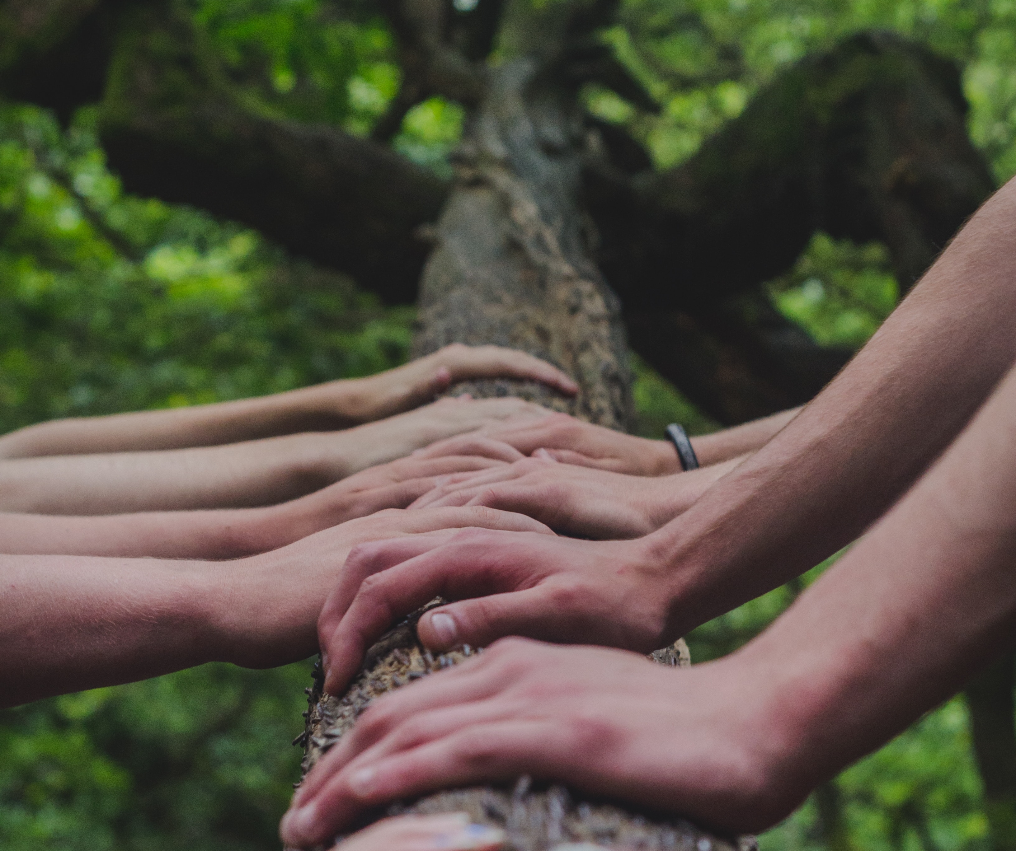shane-rounce-DNkoNXQti3c-unsplash
