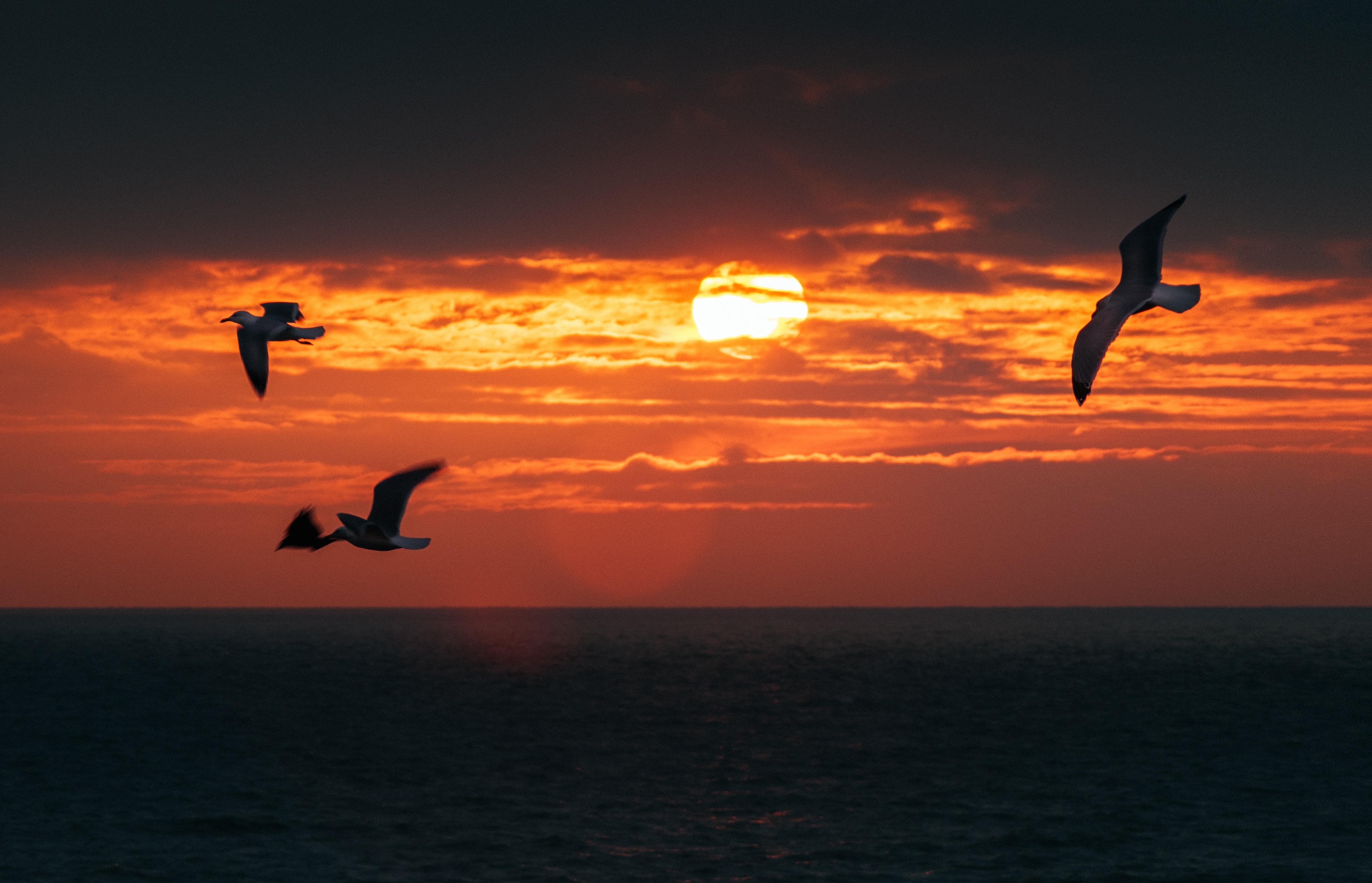 zoltan-tasi-NZC095dYJoE-unsplash